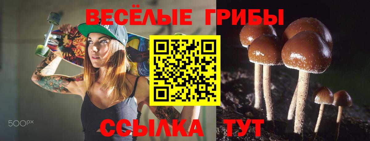 Псилоцибиновые грибы мицелий  Галлюциногенные грибы Psilocybe  Александров  Вход с VPN 